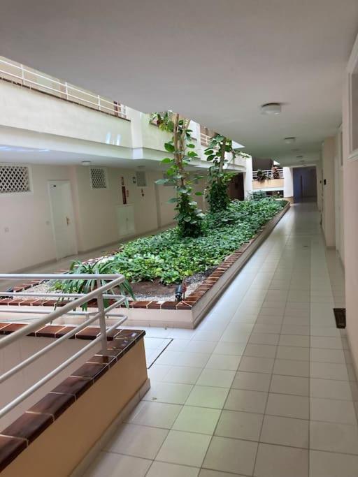 פוארטו דה סנטיאגו Apartament Sunset Aliss מראה חיצוני תמונה