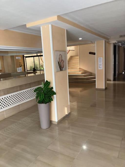 פוארטו דה סנטיאגו Apartament Sunset Aliss מראה חיצוני תמונה